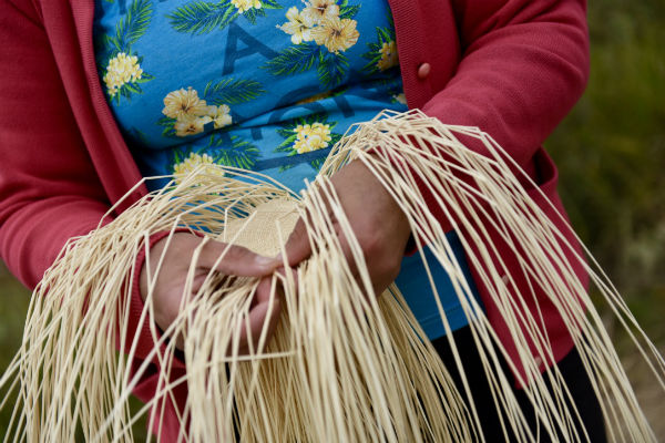 tissage d'un chapeau panama